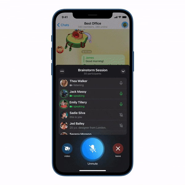 Telegram Group video Call Feature