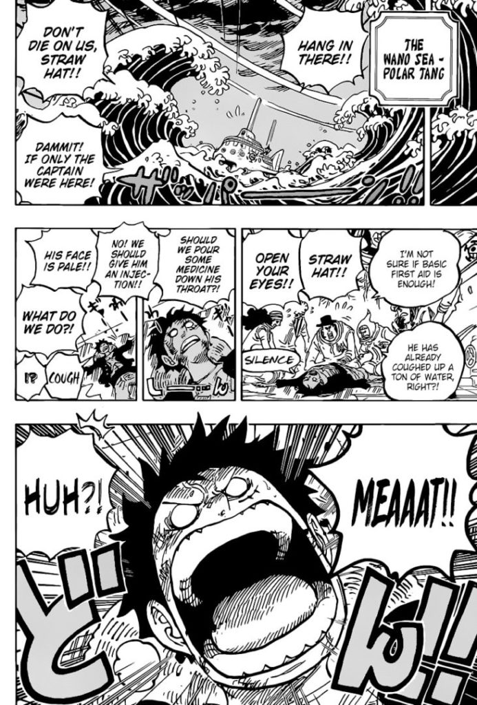 One Piece Chapter 1020 Spoilers Reddit, Predictions, and Theories