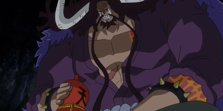 Drunk Kaido and His Different Forms