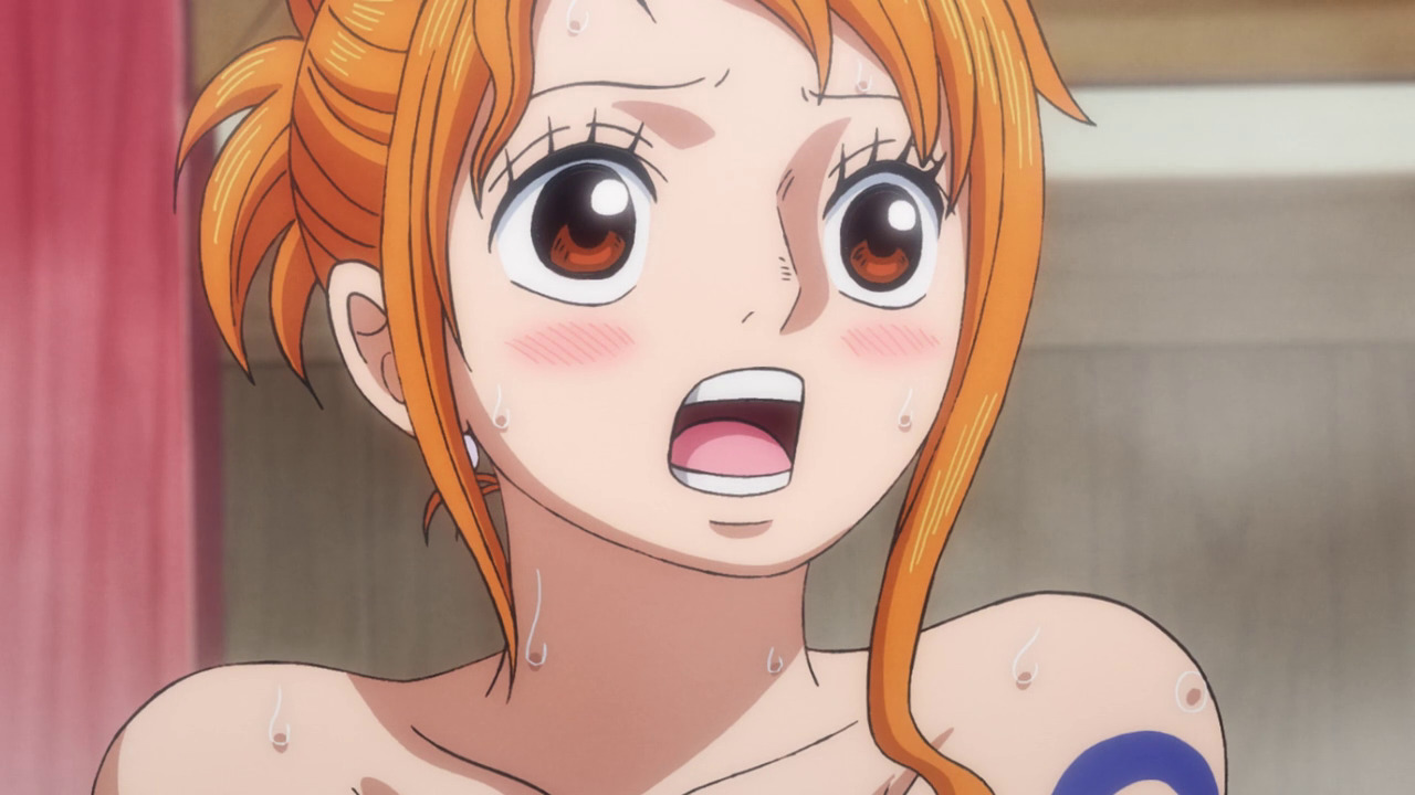 One Piece Episode 1009 Spoilers, Recap, Release Date and Time