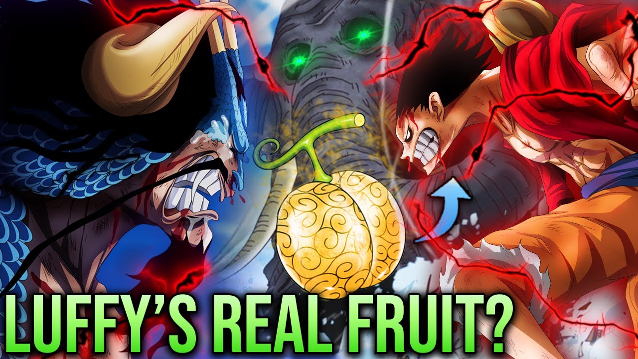 Luffy's Devil Fruit Name Revealed