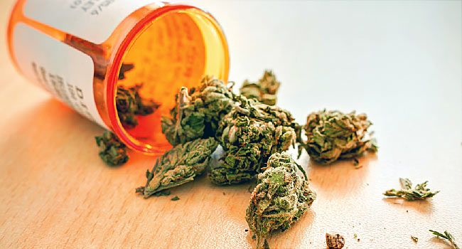 benefits of cannabis