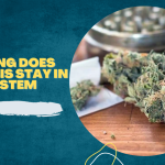 how long does cannabis stay in your system