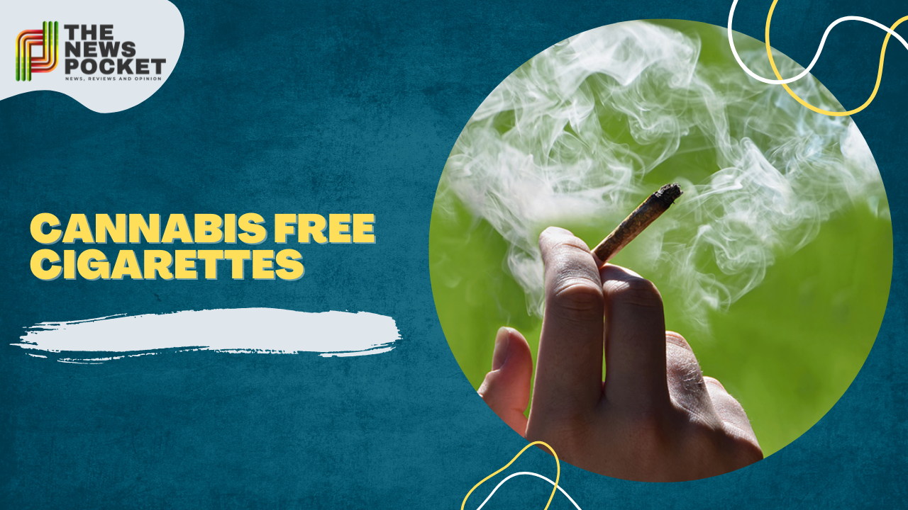 cannabis free cigarettes