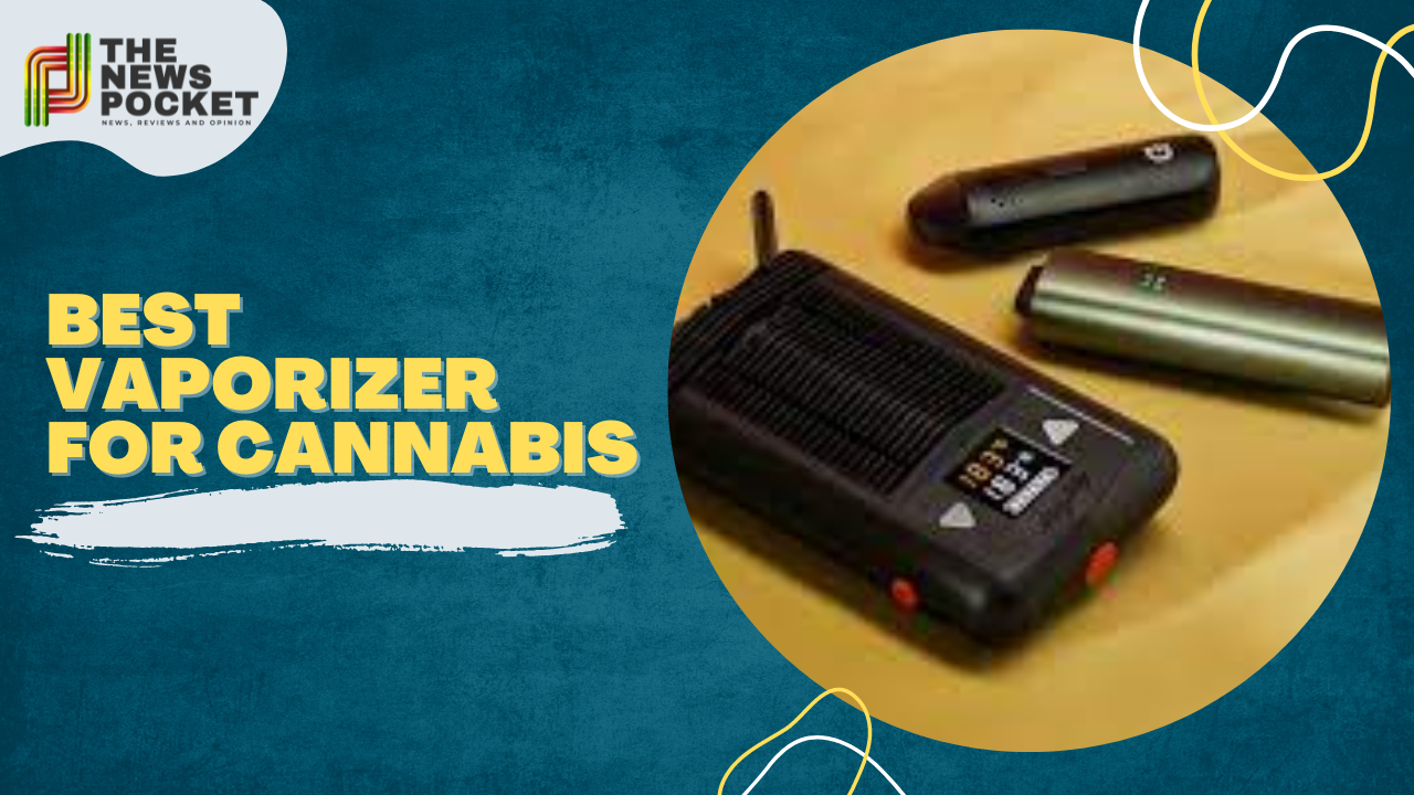 best vaporizer for cannabis