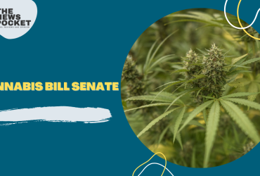 cannabis bill senate