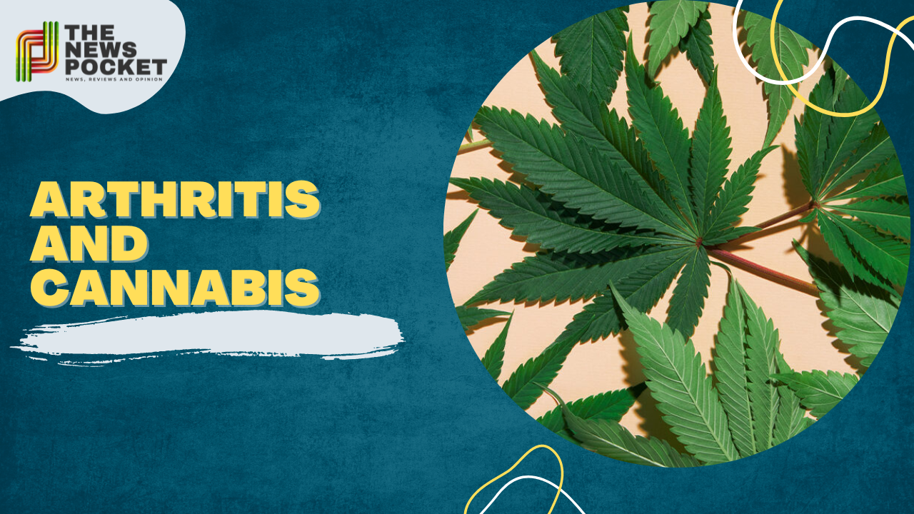arthritis and cannabis