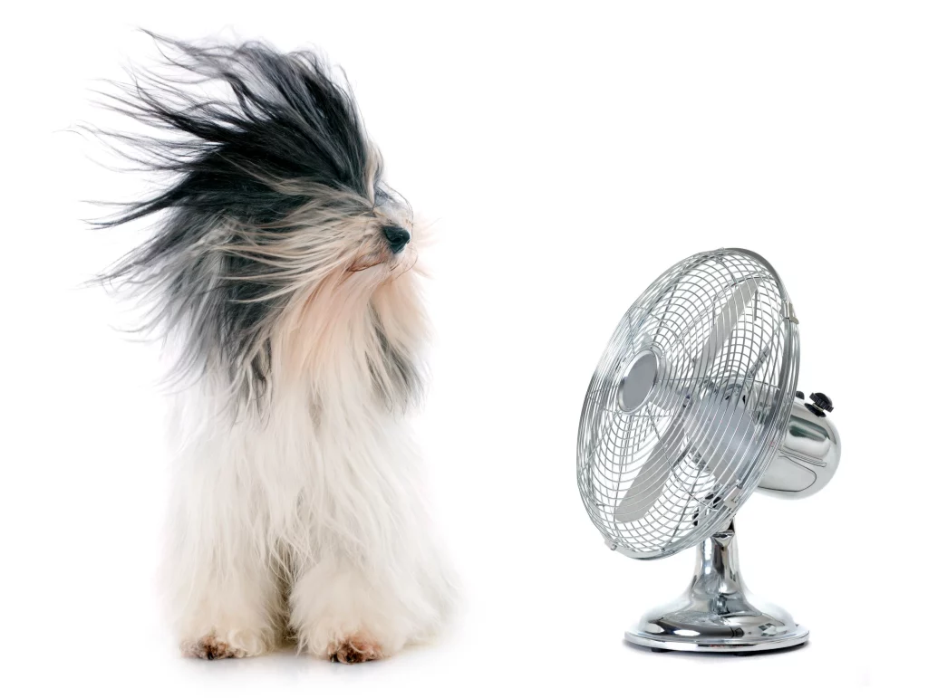 fan hacks to keep cool