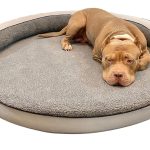 dog bed cyber monday deals