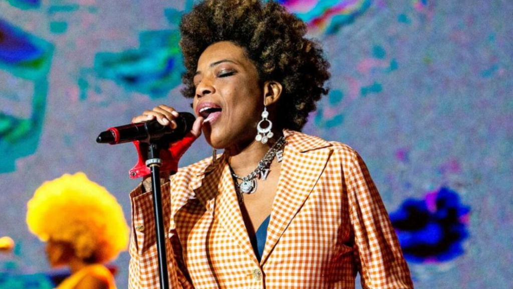 Macy Gray's Net Worth How Much She Made Through Music! The News Pocket