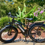 Black Friday Buying Guide - how To Choose a Top Fat Tire E-Bike