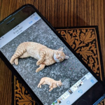 How to Use Photo Cutout on an iPhone (iOS 16)