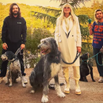 Tom Kaulitz, Heidi Klum's Husband, Laments the Unsolved Dog Homicides and Muses About Possible Foul Play!