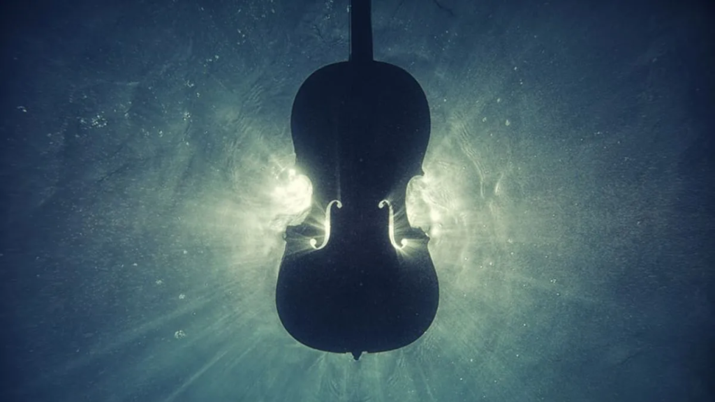 What Apple Music Might Learn from The Classical Music App?