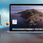 Learn How to Transfer Files between iPhone and Mac