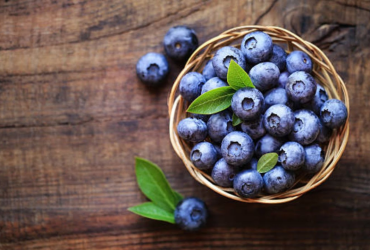 wellhealthorganic.com : 10-best-ways-to-use-blueberries