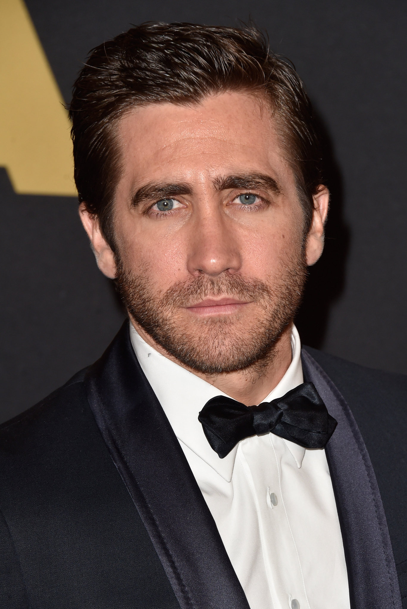 Is Jake Gyllenhaal Gay