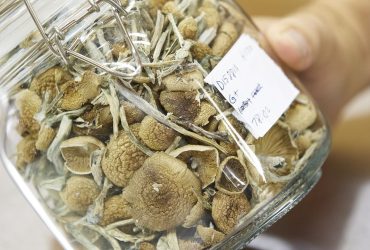 Are Magic Mushrooms Prohibited for Athletes? (2024 Guide)