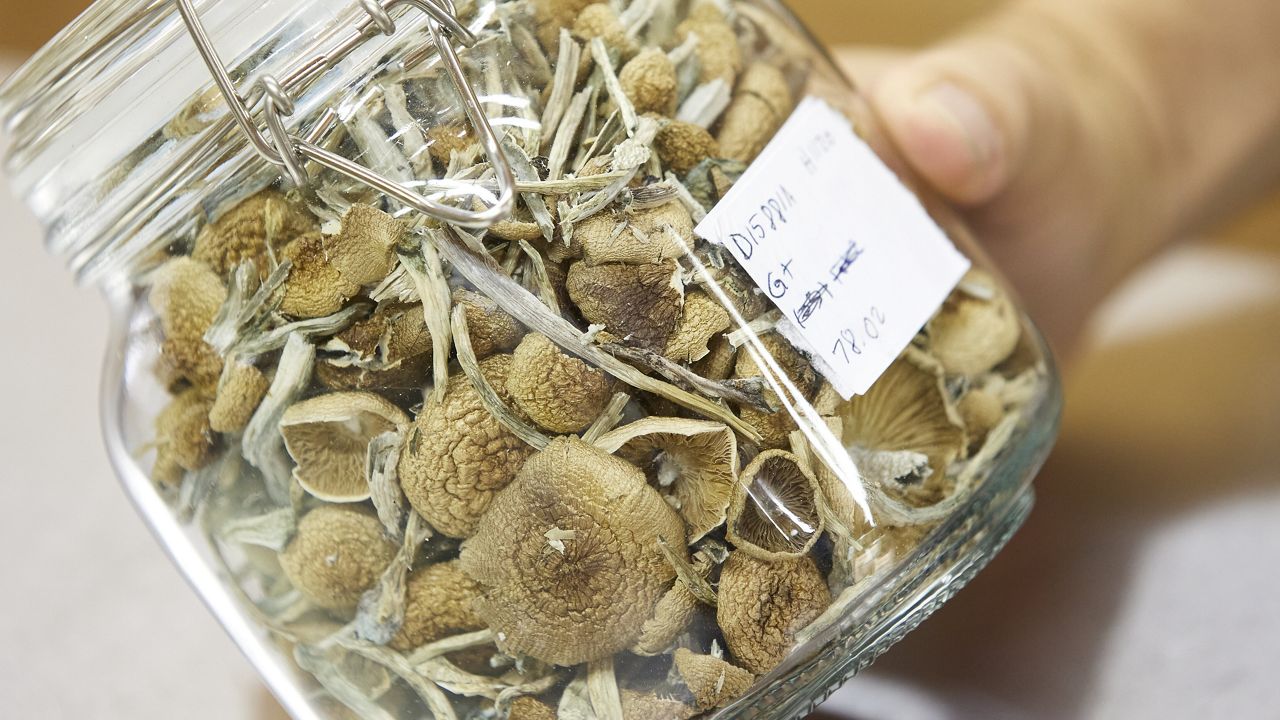 Are Magic Mushrooms Prohibited for Athletes? (2024 Guide)