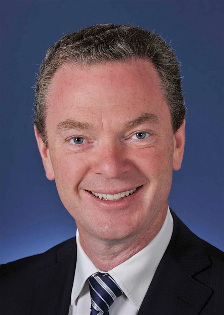 is christopher pyne gay
