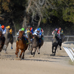 Economic Impact of the Kentucky Derby on Louisville