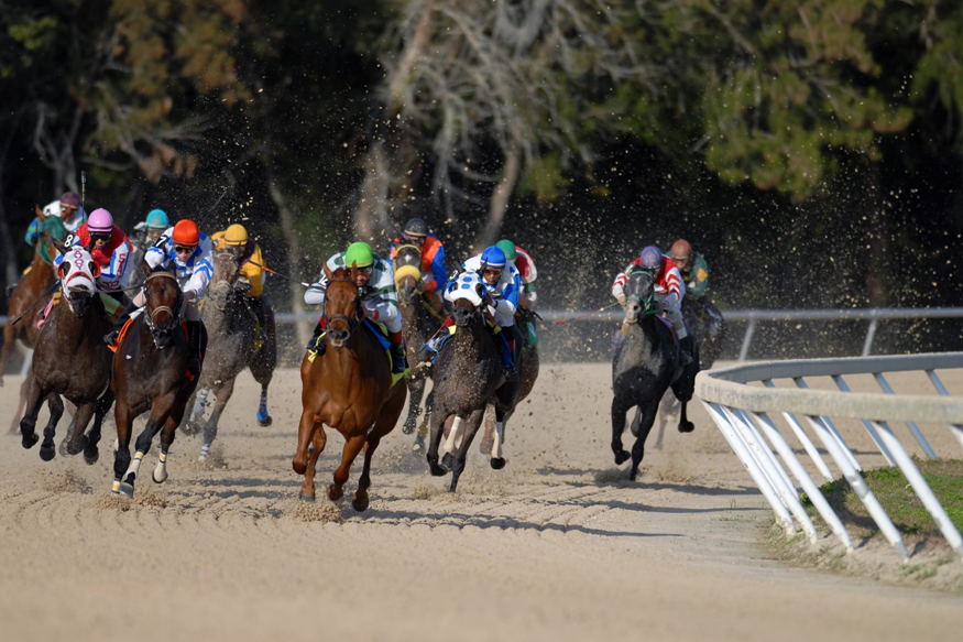 Economic Impact of the Kentucky Derby on Louisville