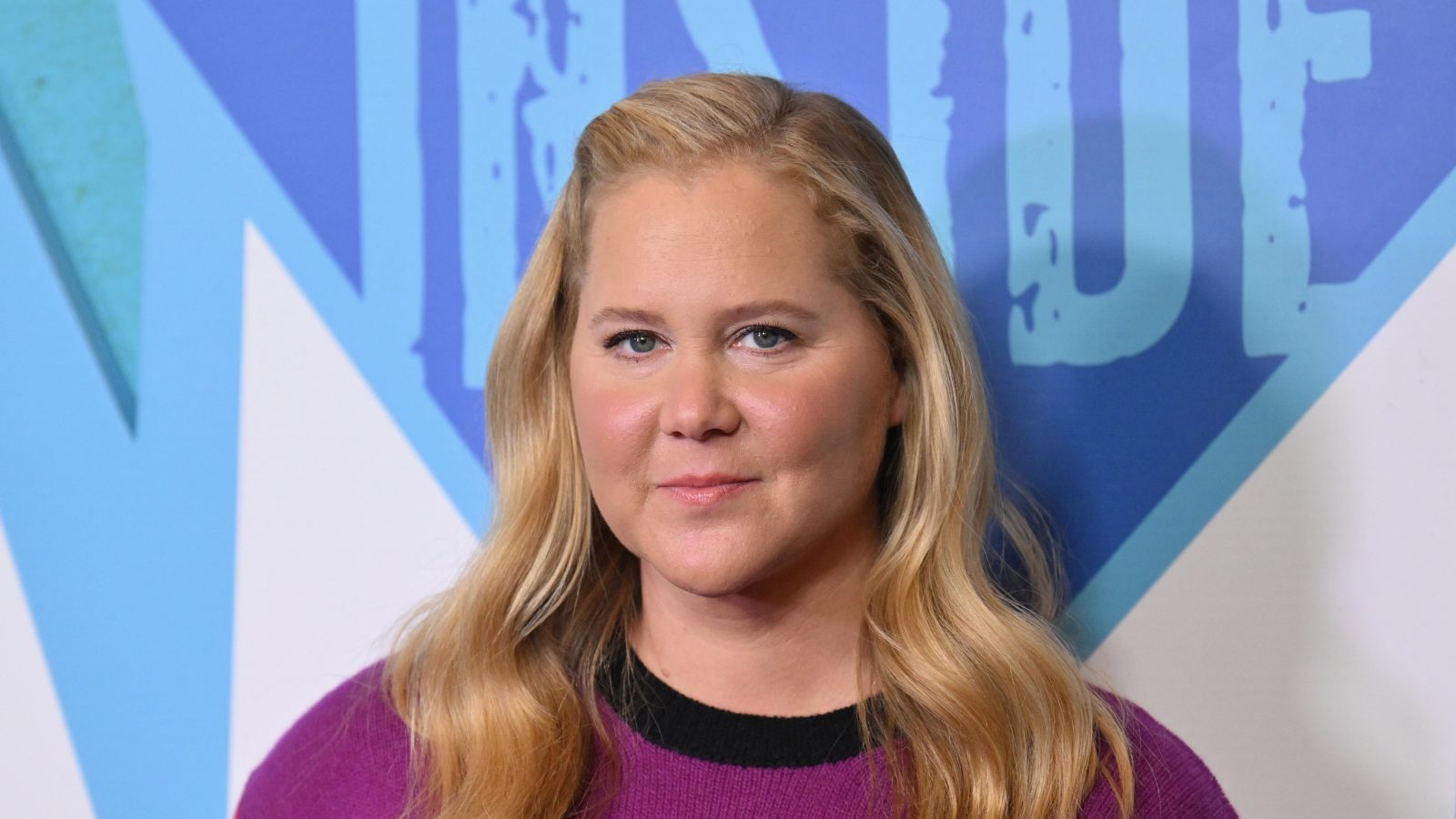 amy schumer plastic surgery